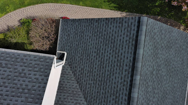 Best Sheet Metal Roofing  in Blue Springs, MO