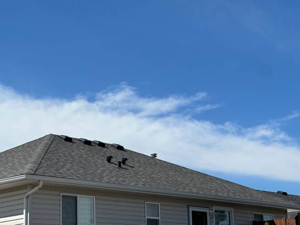 Trusted Blue Springs, MO  Roofing repair and installation Experts